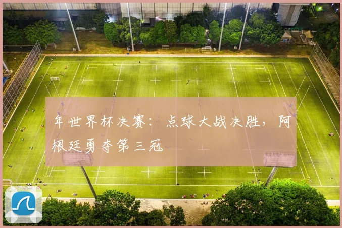 年世界杯决赛:点球大战决胜,阿根廷勇夺第三冠