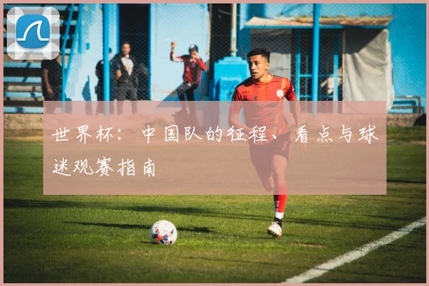 世界杯:中国队的征程、看点与球迷观赛指南